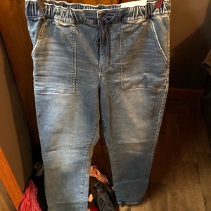 American Eagle Cozy Next Level Stretch Super Soft Jegging Jogger Size 16 Long